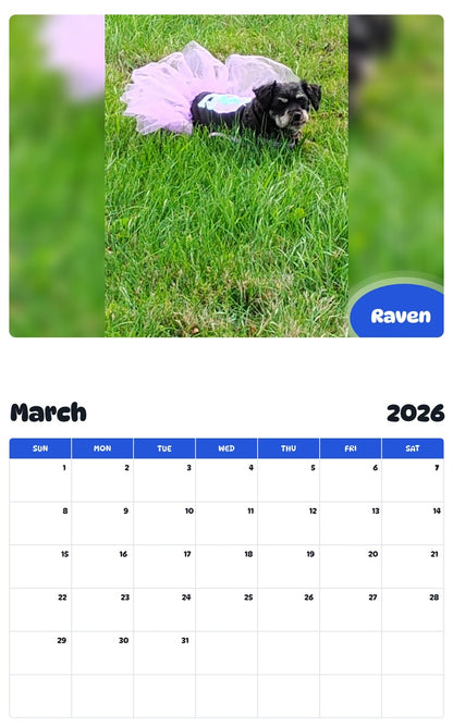 November 2025 - October 2026 Raven - Pawidols Pet Calendar
