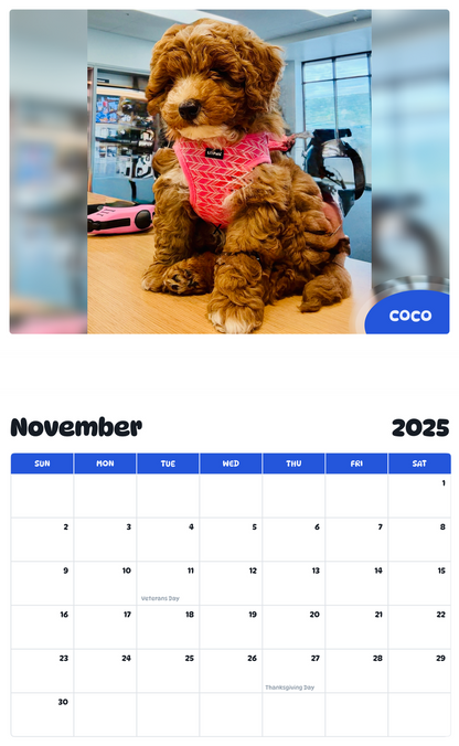 July 2025 - June 2026 Coco - Pawidols Pet Calendar