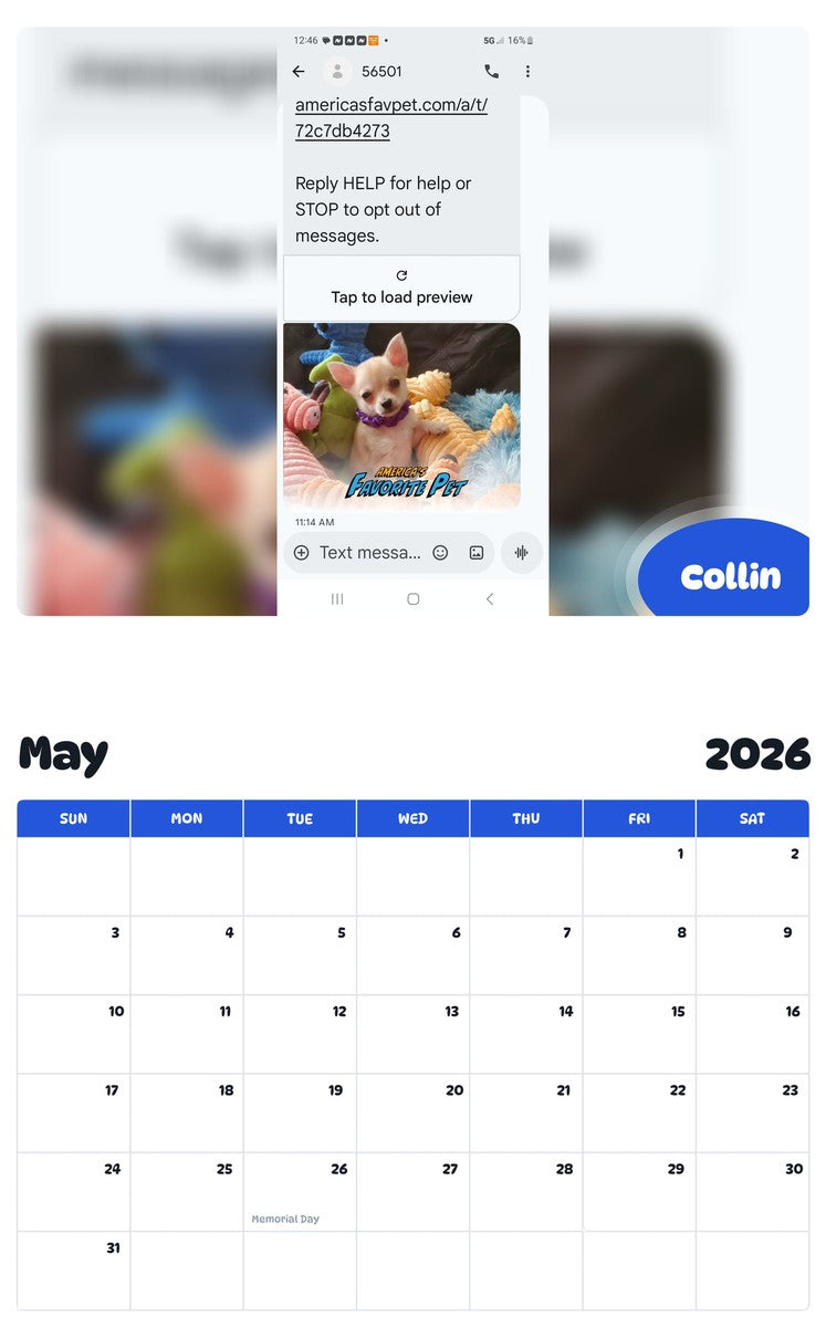 2026 - 2027 Collin - Pawidols Pet Calendar