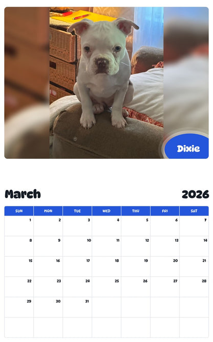 November 2025 - October 2026 Dixie - Pawidols Pet Calendar