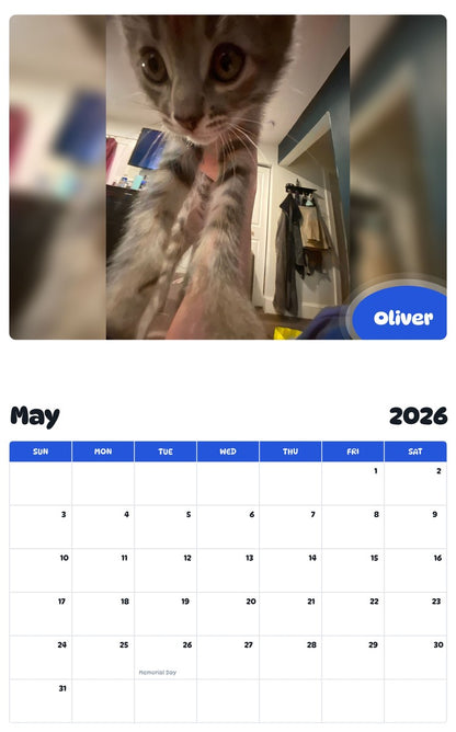 2026 - 2027 Oliver - Pawidols Pet Calendar
