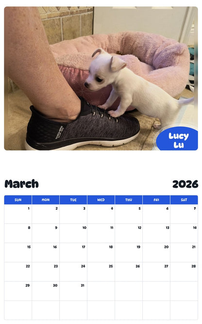 November 2025 - October 2026 Lucy Lu - Pawidols Pet Calendar