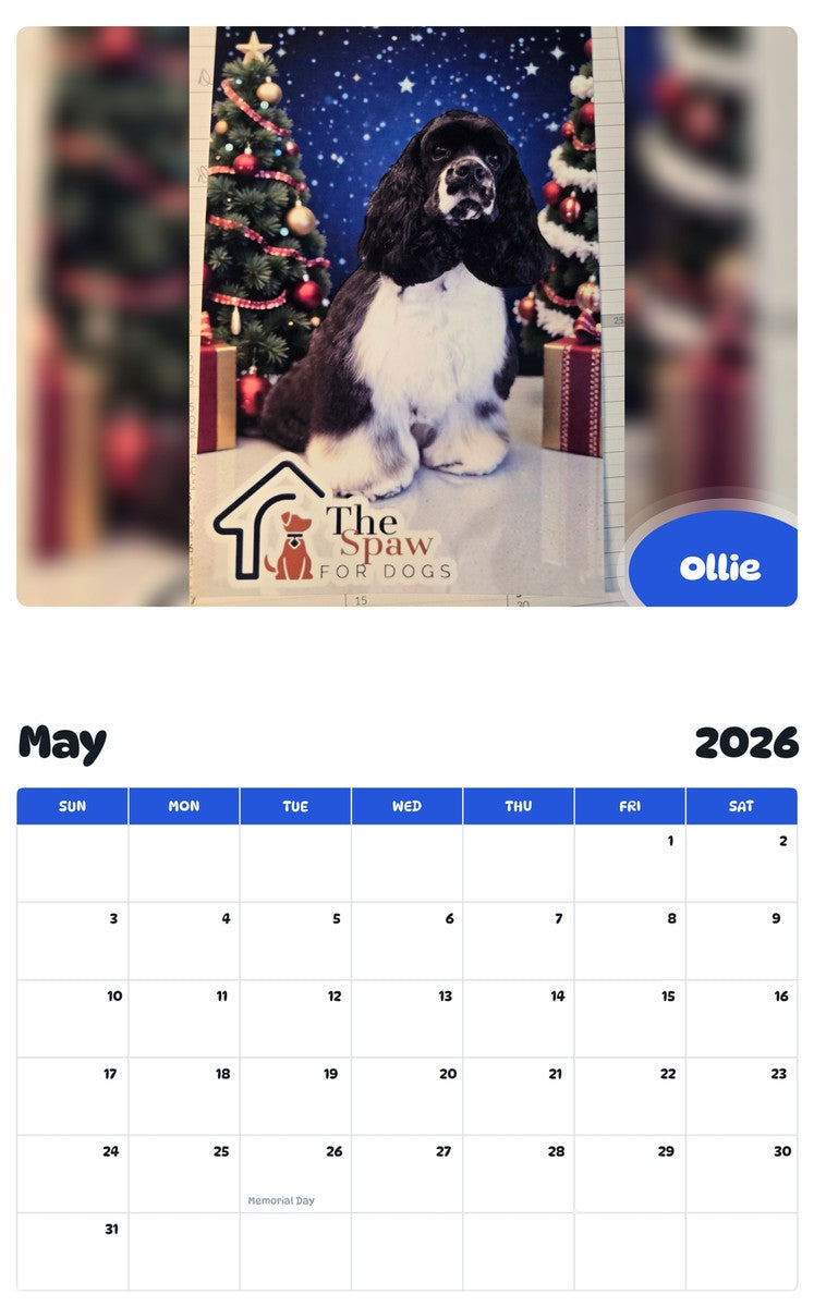 2026 - 2027 Ollie - Pawidols Pet Calendar