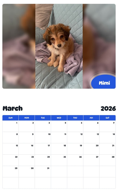 November 2025 - October 2026 Mimi - Pawidols Pet Calendar