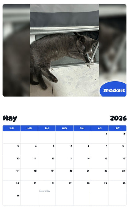 2026 - 2027 Smackers - Pawidols Pet Calendar