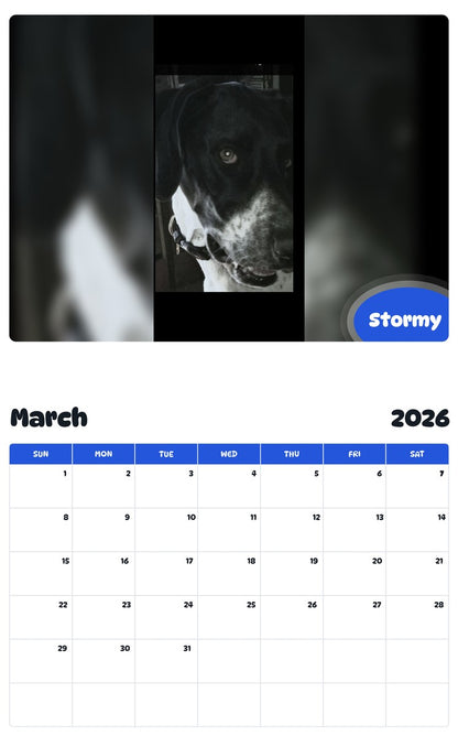 November 2025 - October 2026 Stormy - Pawidols Pet Calendar