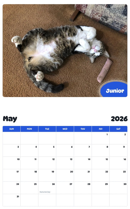 2026 - 2027 Junior - Pawidols Pet Calendar
