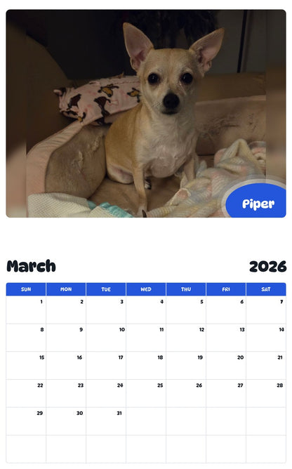 November 2025 - October 2026 Piper - Pawidols Pet Calendar