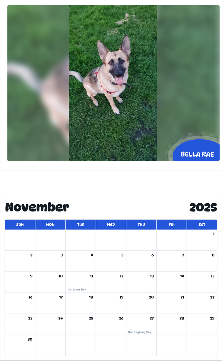July 2025 - June 2026 Bella Rae - Pawidols Pet Calendar