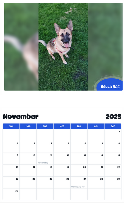 July 2025 - June 2026 Bella Rae - Pawidols Pet Calendar