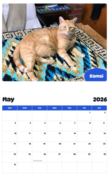 2026 - 2027 Bamsi - Pawidols Pet Calendar