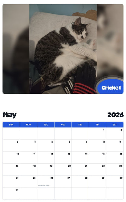 2026 - 2027 Cricket - Pawidols Pet Calendar