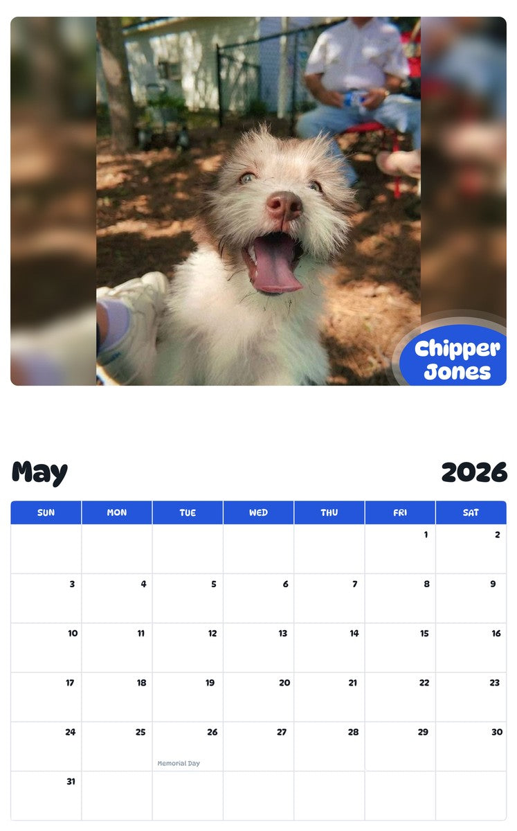 2026 - 2027 Chipper Jones - Pawidols Pet Calendar