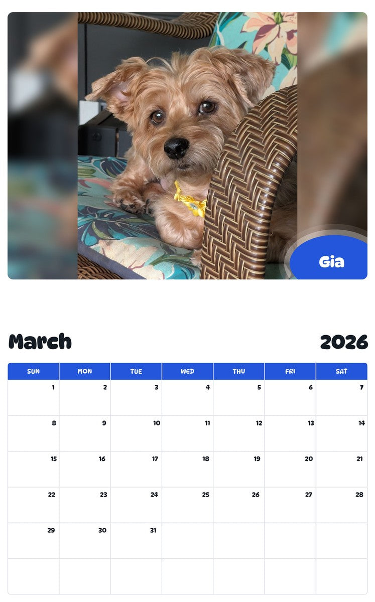 November 2025 - October 2026 Gia - Pawidols Pet Calendar