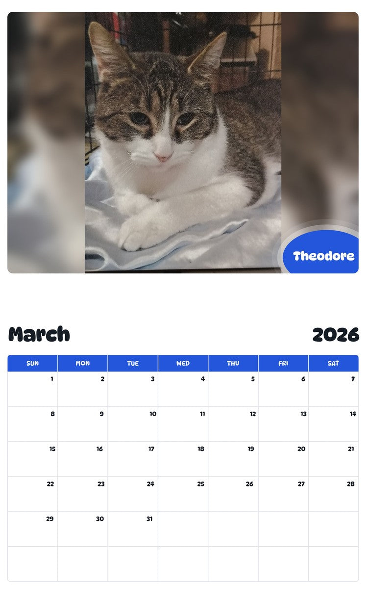 November 2025 - October 2026 Theodore - Pawidols Pet Calendar