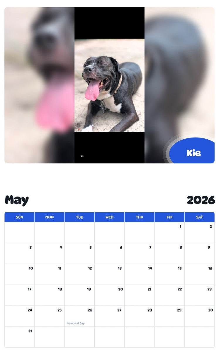 2026 - 2027 Kie - Pawidols Pet Calendar