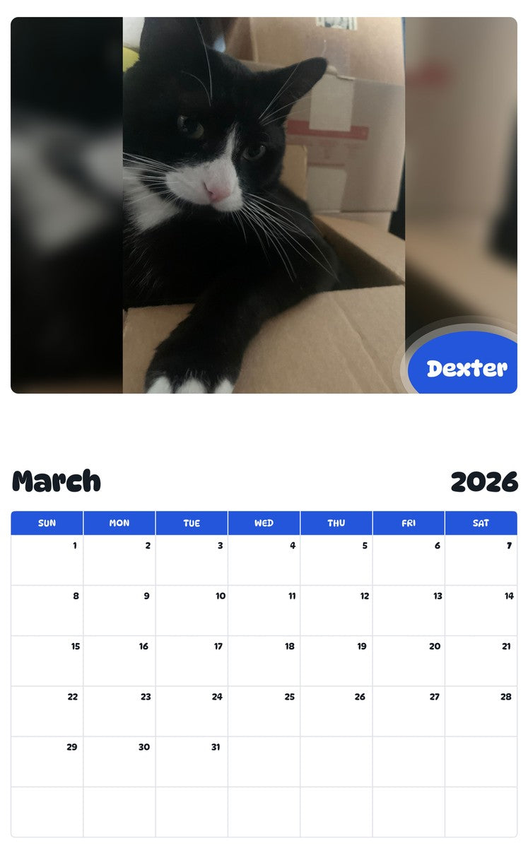 November 2025 - October 2026 Dexter - Pawidols Pet Calendar