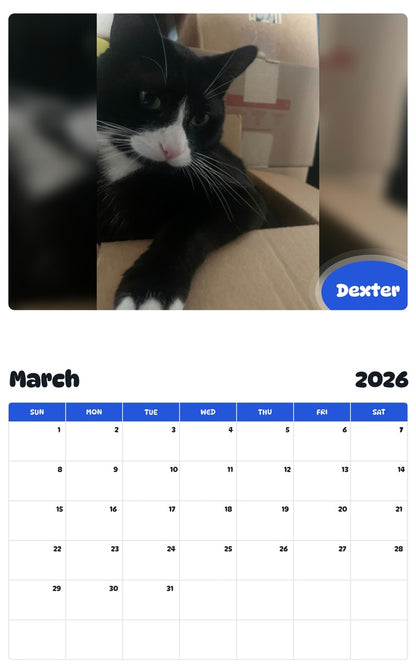 November 2025 - October 2026 Dexter - Pawidols Pet Calendar