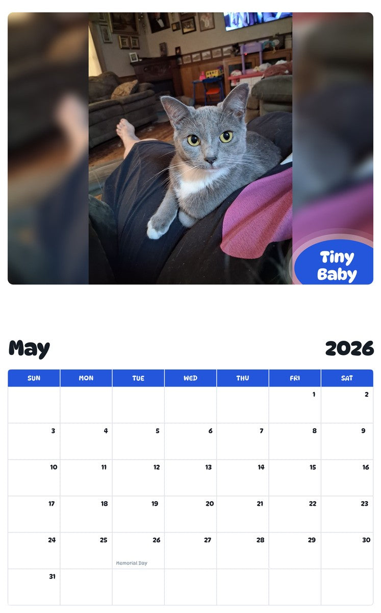 2026 - 2027 Tiny Baby - Pawidols Pet Calendar