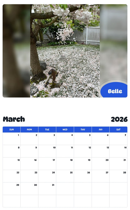 November 2025 - October 2026 Belle - Pawidols Pet Calendar