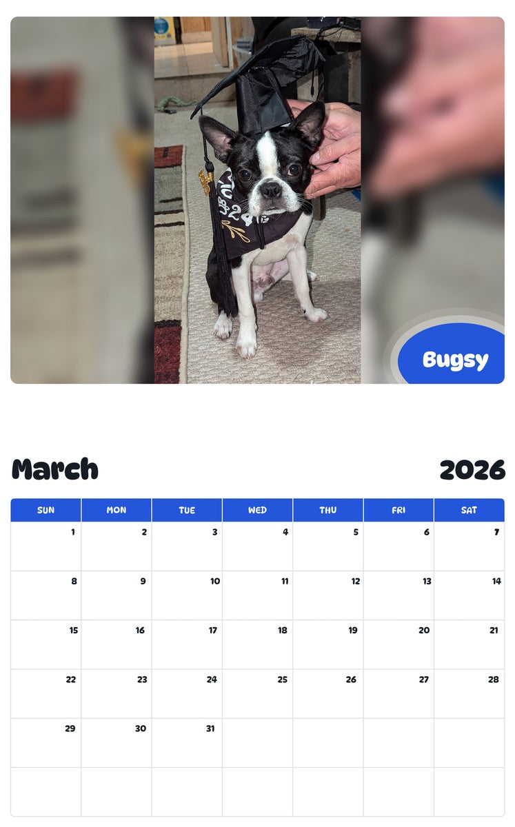 November 2025 - October 2026 Bugsy - Pawidols Pet Calendar