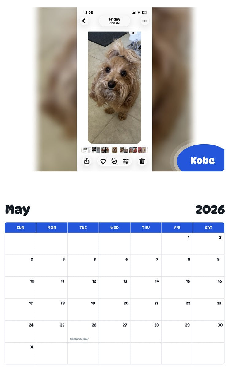 2026 - 2027 Kobe - Pawidols Pet Calendar