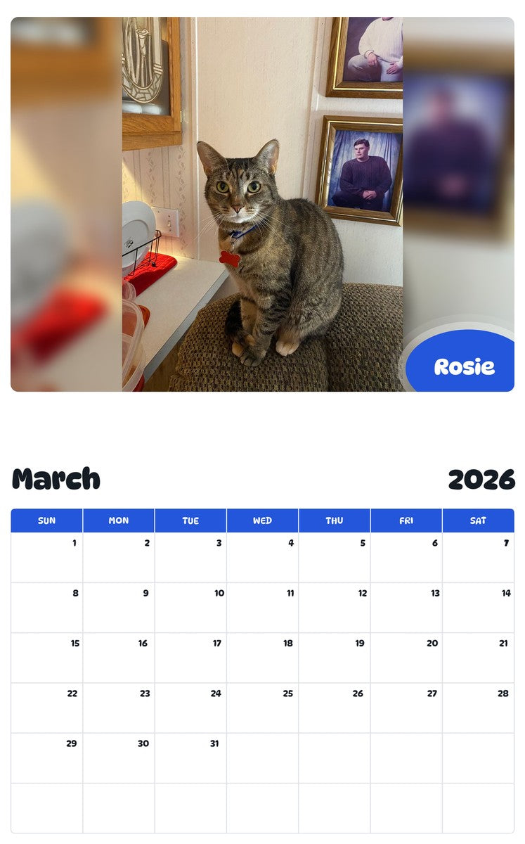 November 2025 - October 2026 Rosie - Pawidols Pet Calendar