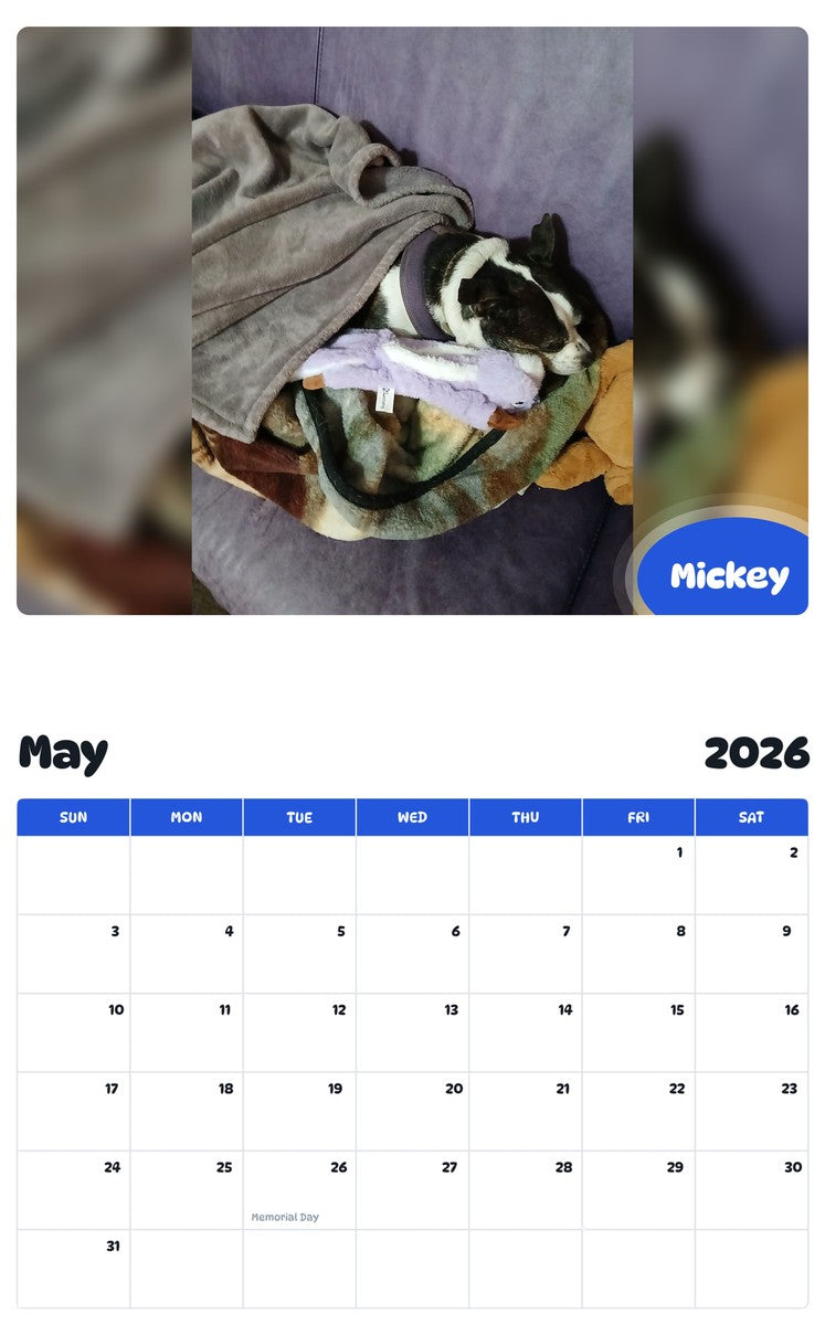 2026 - 2027 Mickey - Pawidols Pet Calendar