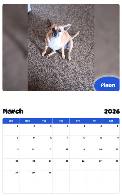 November 2025 - October 2026 Pinon - Pawidols Pet Calendar