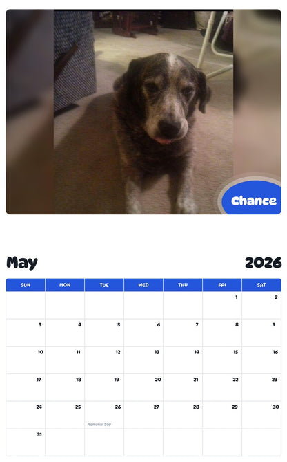 2026 - 2027 Chance - Pawidols Pet Calendar
