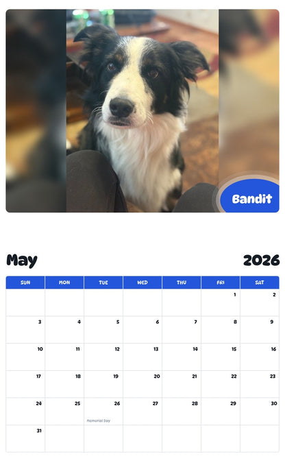 2026 - 2027 Bandit - Pawidols Pet Calendar