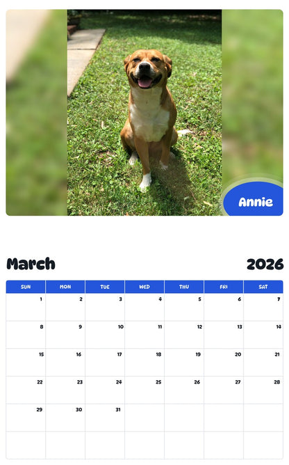 November 2025 - October 2026 Annie - Pawidols Pet Calendar