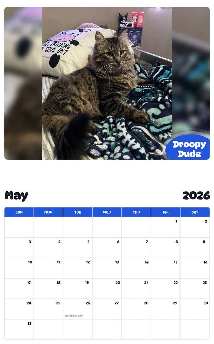 2026 - 2027 Droopy Dude - Pawidols Pet Calendar