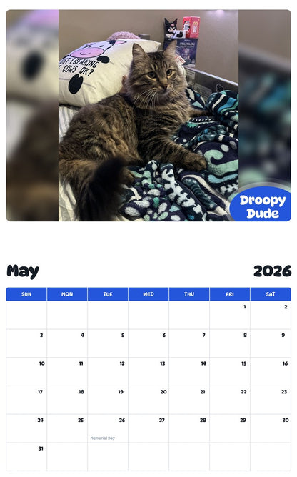 2026 - 2027 Droopy Dude - Pawidols Pet Calendar