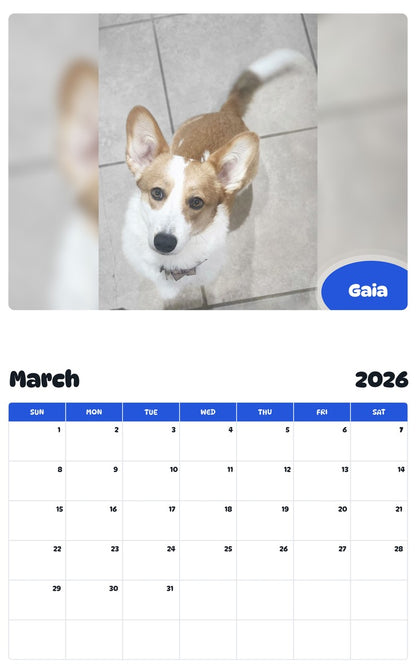 November 2025 - October 2026 Gaia - Pawidols Pet Calendar
