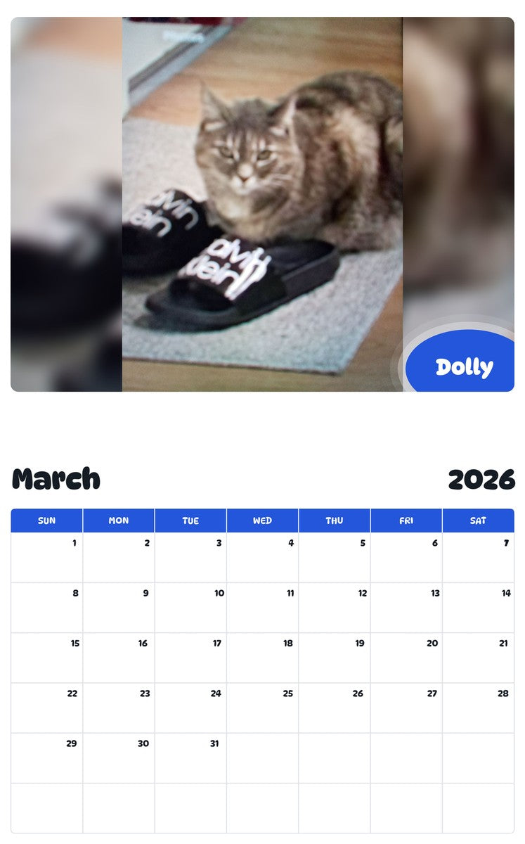 November 2025 - October 2026 Dolly - Pawidols Pet Calendar