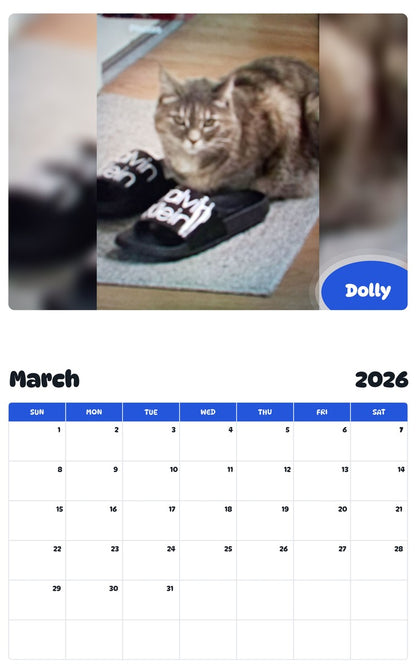November 2025 - October 2026 Dolly - Pawidols Pet Calendar