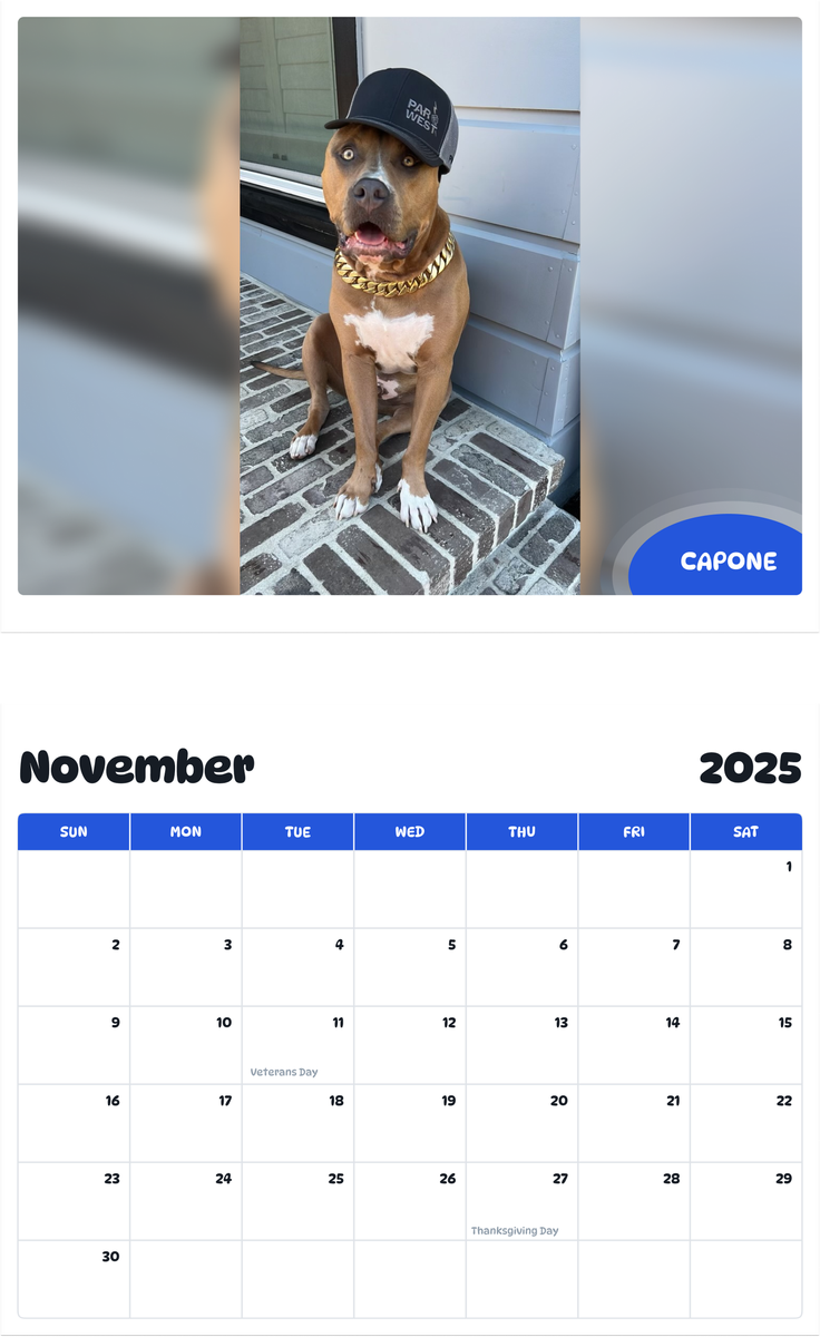 July 2025 - June 2026 Capone - Pawidols Pet Calendar