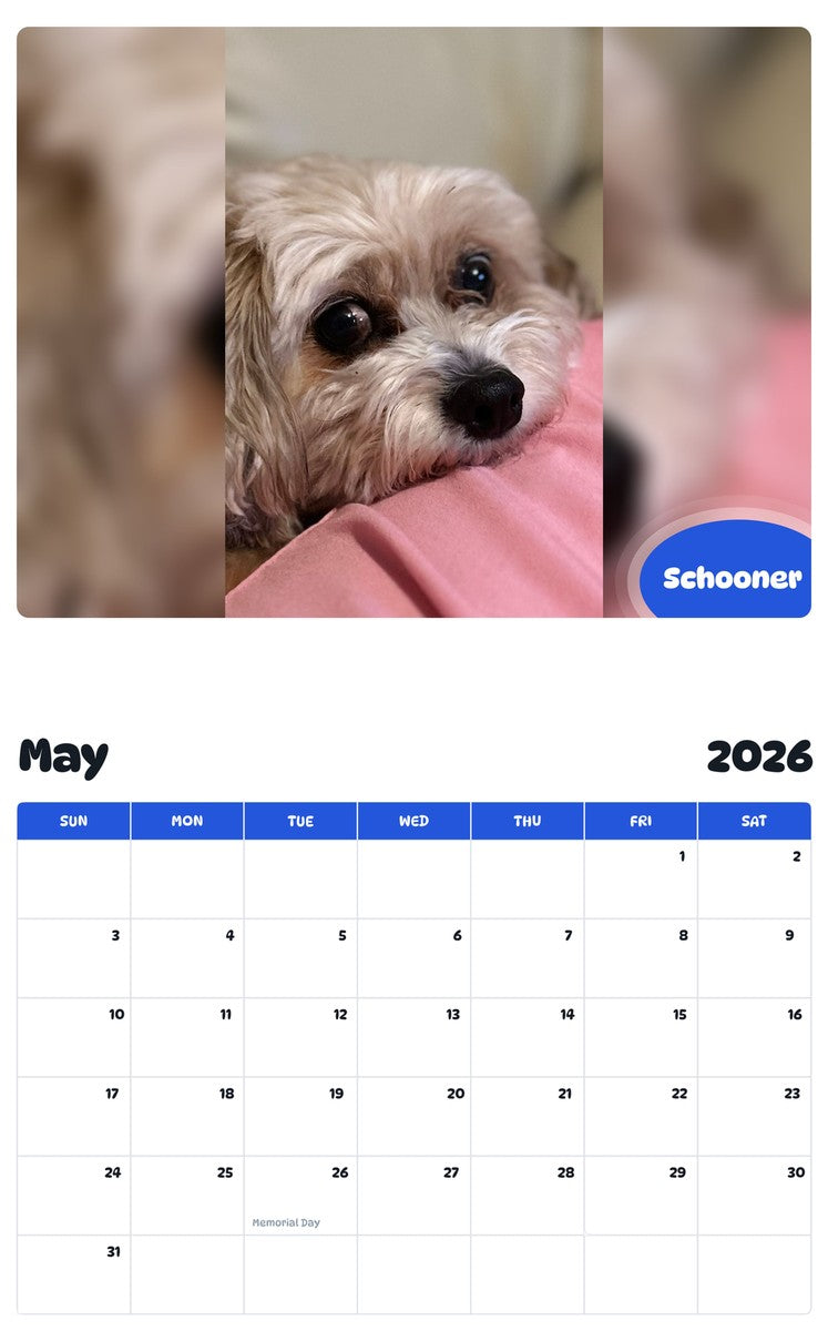 2026 - 2027 Schooner - Pawidols Pet Calendar