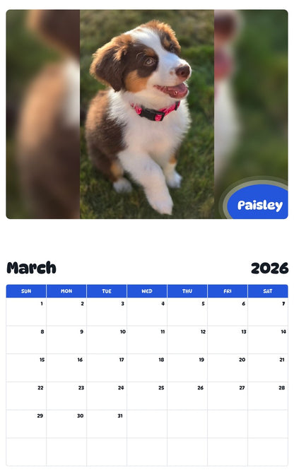 November 2025 - October 2026 Paisley - Pawidols Pet Calendar