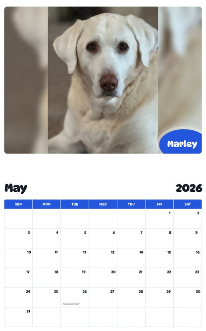 2026 - 2027 Marley - Pawidols Pet Calendar