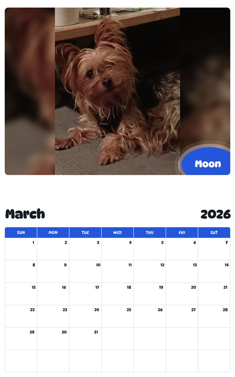 November 2025 - October 2026 Moon - Pawidols Pet Calendar