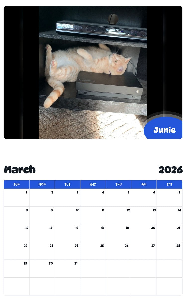 November 2025 - October 2026 Junie - Pawidols Pet Calendar