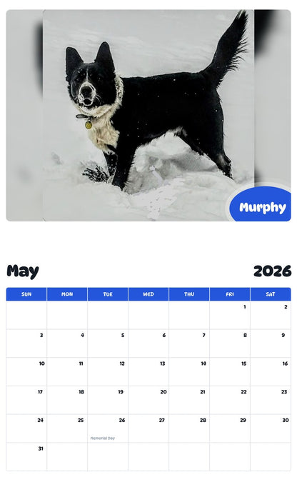 2026 - 2027 Murphy - Pawidols Pet Calendar