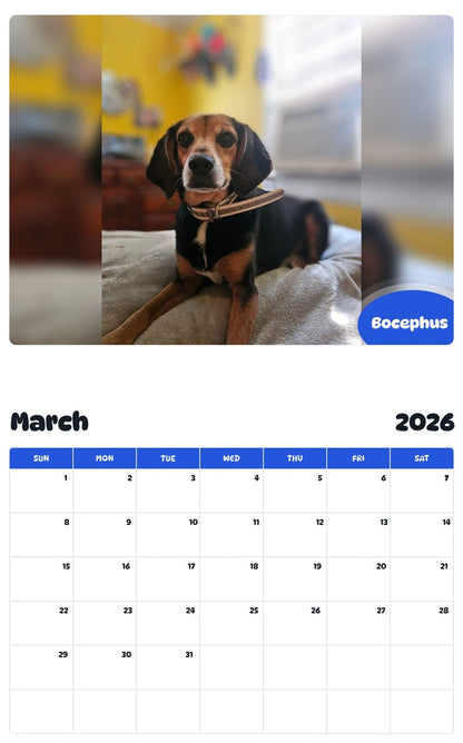 November 2025 - October 2026 Bocephus - Pawidols Pet Calendar