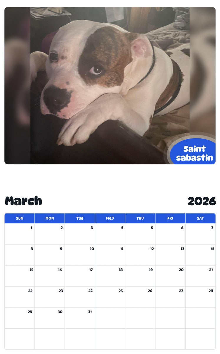 November 2025 - October 2026 Saint sabastin - Pawidols Pet Calendar