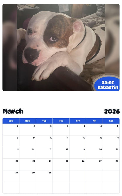 November 2025 - October 2026 Saint sabastin - Pawidols Pet Calendar