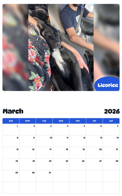 November 2025 - October 2026 Licorice - Pawidols Pet Calendar