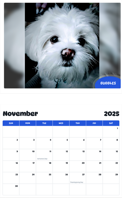 July 2025 - June 2026 Bubbles - Pawidols Pet Calendar