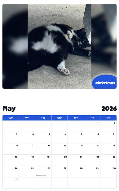 2026 - 2027 Christmas - Pawidols Pet Calendar